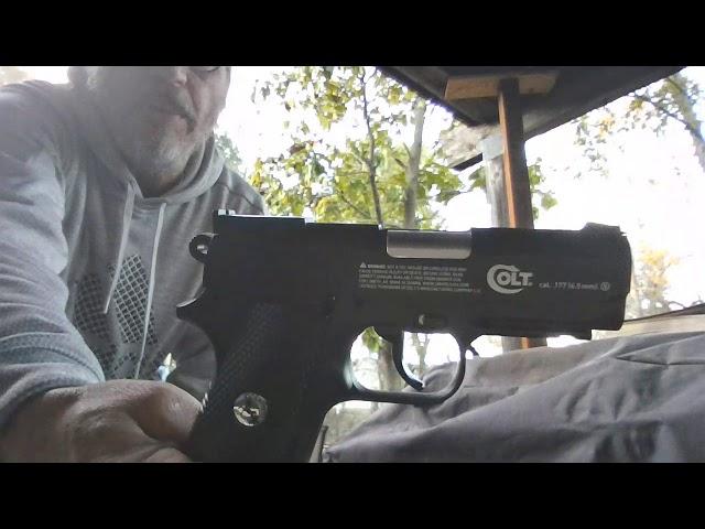 Our Ranch Reviews/Air Gun Fun.