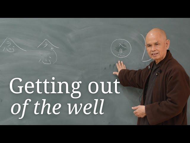 Getting Out of the Well | Teaching by Thich Nhat Hanh