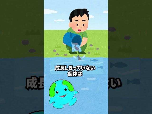 人間のせいで進化した生物 3選 #shorts #雑学 #いきもの