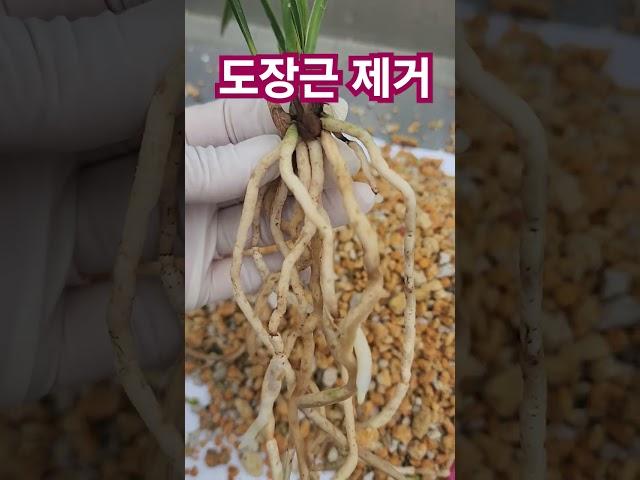 지금 관유정에서는?