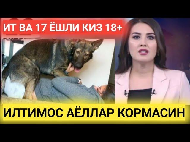 17 ЁШЛИ КИЗ ИТ БИЛАН АЛОКА ИЛТИМОС АЁЛЛАР КОРМАСИН.TREND NEWS