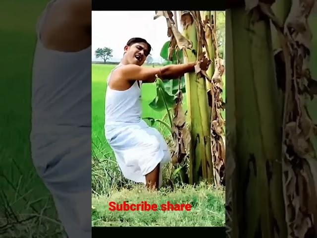 Doyal baba kola khaba 