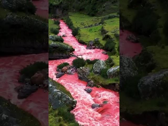 #relax #youtubeshorts #nature The famous red river in the valley of Cusco, Peru