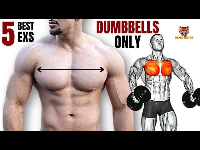 5 BEST CHEST WORKOUT WITH DUMBBELLS ONLY AT HOME/GYM