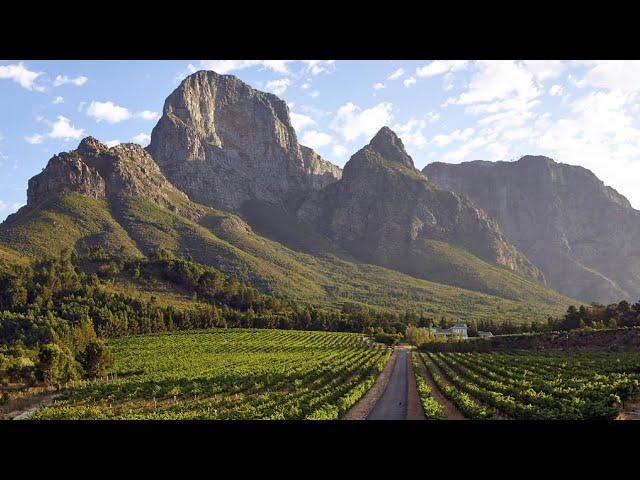 46.7 hectare wine farm for sale in Franschhoek Rural | Pam Golding Properties