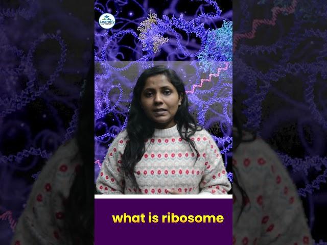 what is ribosome  #explorepage #biologymadeeasy #youtube #ribosome #learnify #ribosomes
