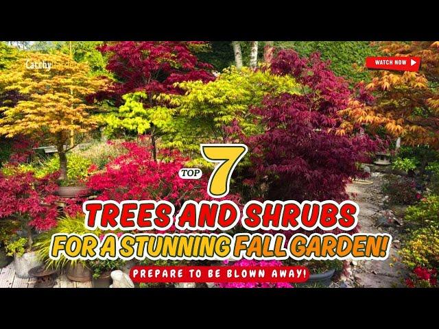  7 BEST TREES & SHRUBS FOR A STUNNING FALL GARDEN!  // GArdening Ideas