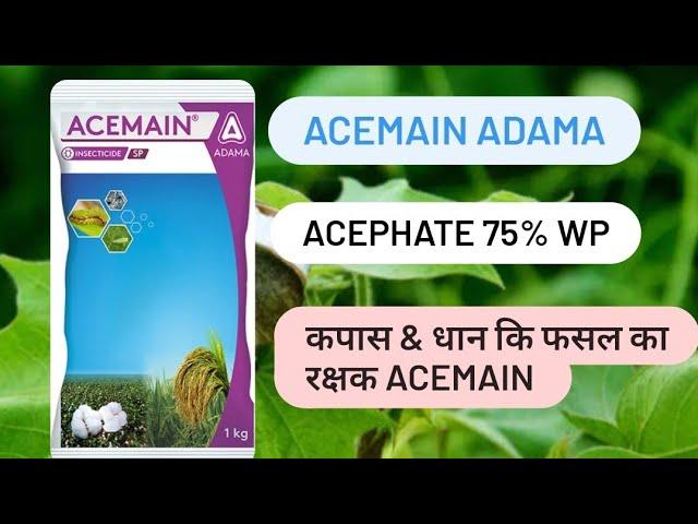 Acemain insecticide Adama Acephate 75% Sp