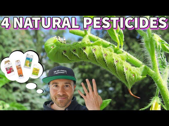 4 Natural Pesticides I'm Stocking NOW Before Price Hikes