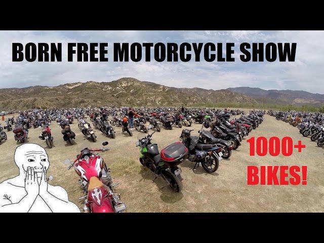 BORN FREE MOTORCYCLE SHOW | 1000+ MOTORCYCLES !!!