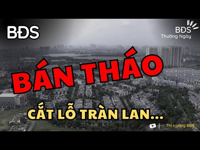 Bất Động Sản Rao Bán Cắt Lỗ Tràn Lan, Đâu Là Tin Thật - Tin Ảo ? BĐS Thường Ngày