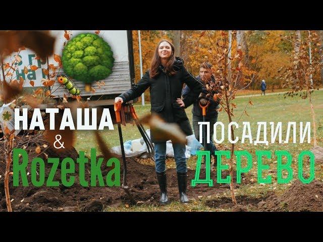 Спасибо за деревья! Финал акции «Посади дерево» с Rozetka.ua