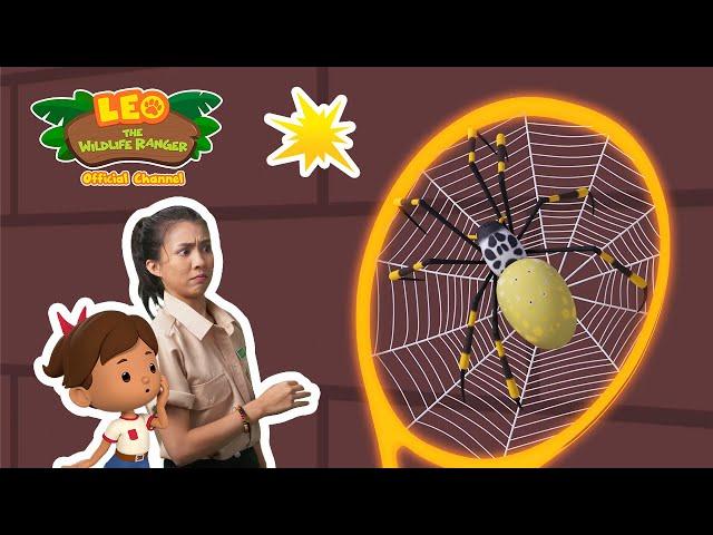 ️ WHERE'S THE SPIDER? ️ | Golden Orb Spider | Leo the Wildlife Ranger | #minisode