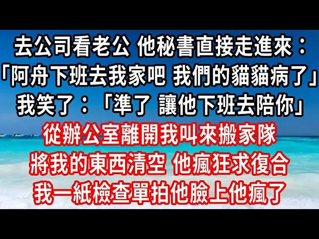 去公司看老公 他秘書直接走進來：阿舟 下班去我家吧 我們的貓貓病了，他還沒說話 我：準了 讓他下班去陪你，從辦公室離開我叫來搬家隊，將我的東西清空 他瘋狂求復合，我一紙檢查單拍他臉上他瘋了#小說