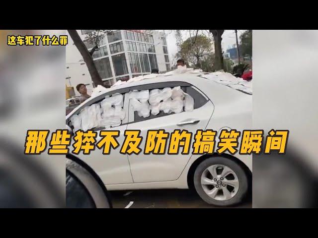 盘点那些猝不及防的搞笑瞬间