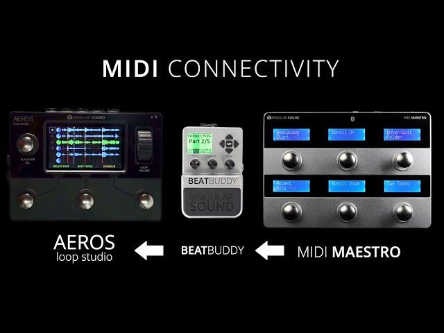 AEROS Loop Studio + BeatBuddy + MIDI Maestro - MIDI Connectivity