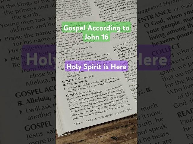 Gospel According to John #dailymass #catholicdevotion #catholiclife #gospel #history