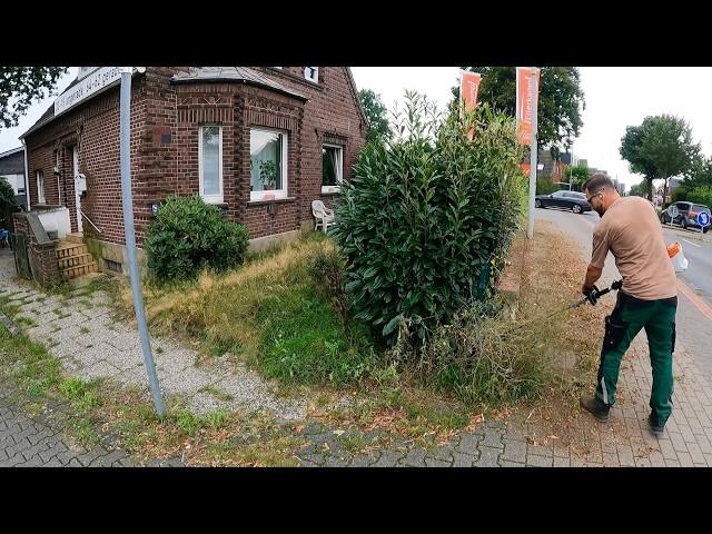 I Drove Past this OVERGROWN YARD Every Time Until I KNOCKED On the DOOR