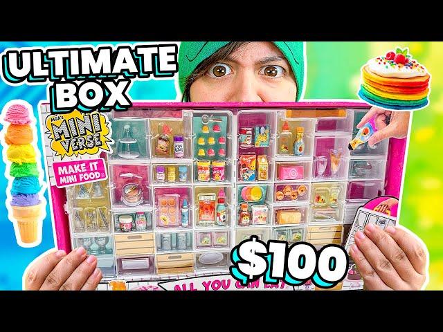 I Bought $100 ULTIMATE Miniature Food Collection