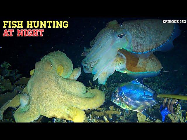 NIGHT SPEARFISHING EPISODE 152 | FISH HUNTING AT NIGHT