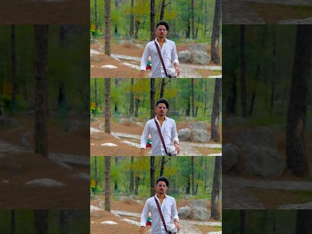 Tosif_khan_mewati #mewati #mewati_song #mewati_gana #trending #aslam_singer_mewati #vairalvideo