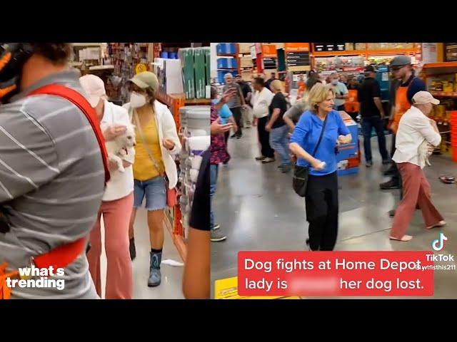 Dog Fight in Home Depot Causes Outrage | What's Trending Explained