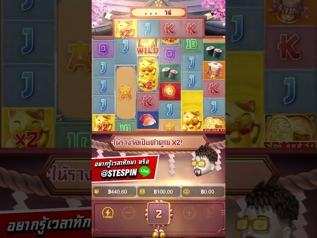 แมวจัดให้ ดอกเดียวขึ่นหมื่นไปดิ !!! #สล็อตpg #pgslot #step #stepspin #PGSLOT ​​​​#เกมใหม่PG