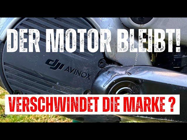 E-MTB Marke vor dem AUS? Theorie des Scheitern?