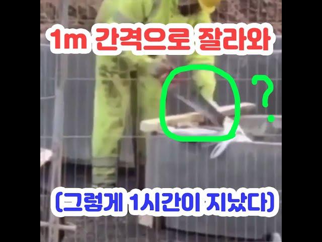 1m간격으로 잘라와!(그렇게 1시간이 지났다)