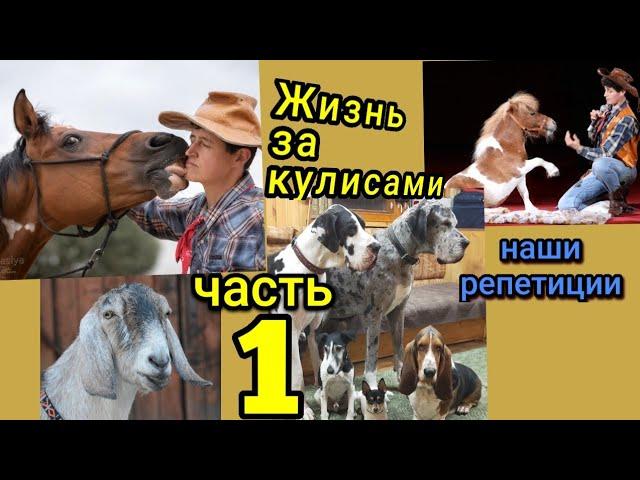 Репетиция в нашем цирке Yakubovskie.ru dog-show CIRCUS