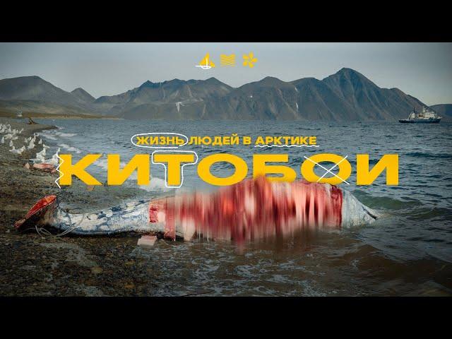 Чукотка, остров Врангеля! Китобои, медведи и вечные льды!