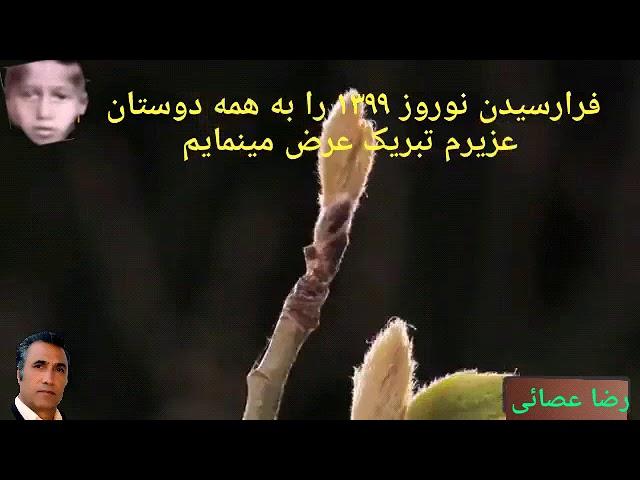 تبری نوروز ۹۹