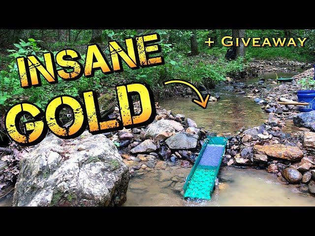 Record Gold in one cleanup! Insanely Rich Gold Deposit found Gold Prospecting