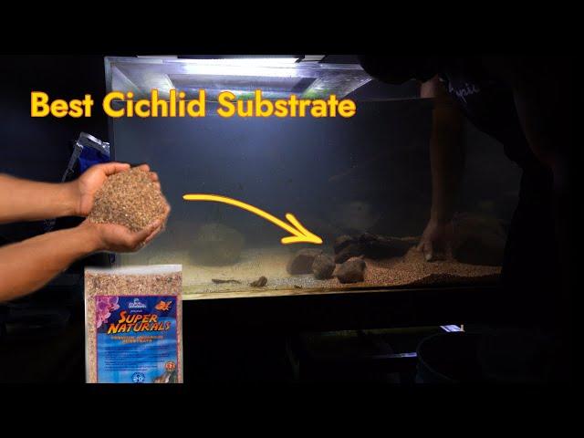 This Might Be The Best Substrate For New World Cichlids...