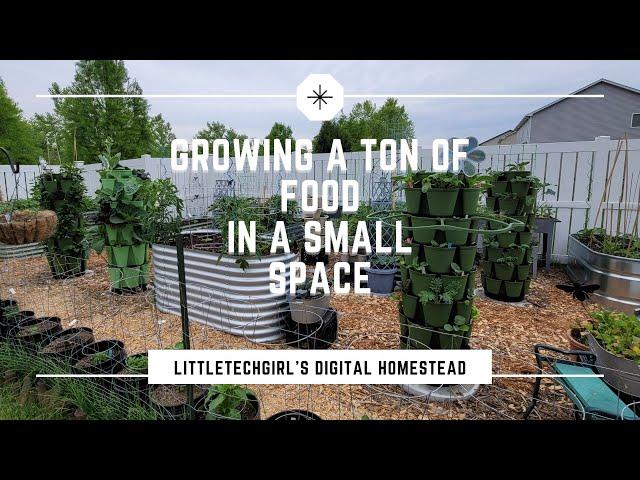 Growing a Ton of Food in a Small Space | GreenStalk Vertical Garden