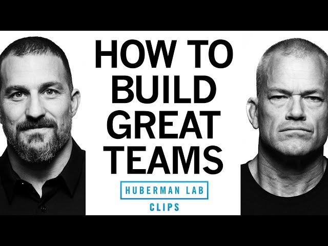 How to Build Great Teams | Jocko Willink & Dr. Andrew Huberman