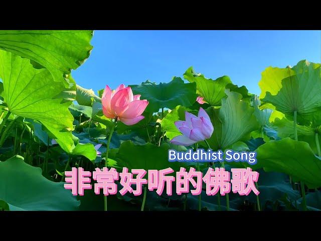 #非常好听的佛歌 | 声音好像能穿透红尘，净心又自在 | 好听的佛歌 |无限循环中 Buddhist Song | Inner Peace️ |#佛歌