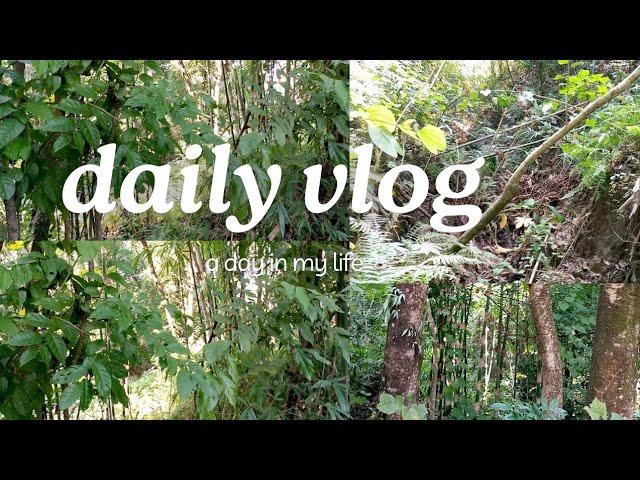 Today Forest View Vlog 