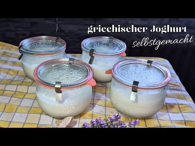 Griechischer Joghurt mit nur 2 Zutaten einfach selber machen, spart Geld #143