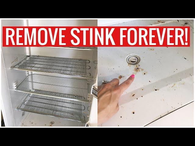 Stinky Fridge or Freezer? How to REMOVE the SMELL for GOOD!! (Cleaning Hacks) | Andrea Jean Cleaning