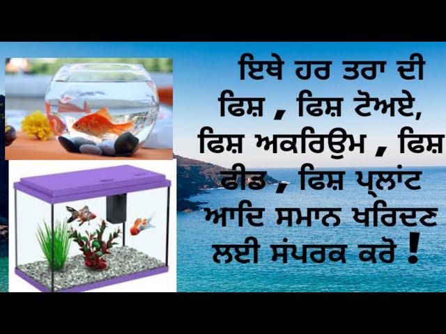 Aquarium Accessories RR Fish Aquarium