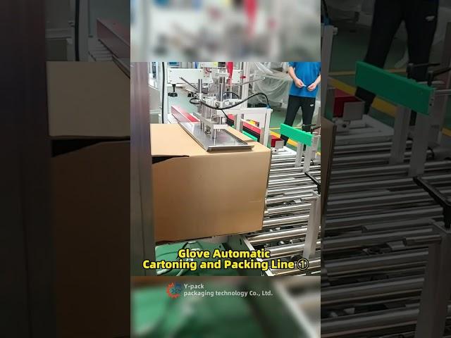 Glove Automatic Cartoning and Packing Line ①