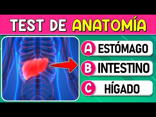 ¿Cuánto Sabes de "ANATOMÍA"? | TEST SOBRE EL CUERPO HUMANO| Test/Trivial/Quiz