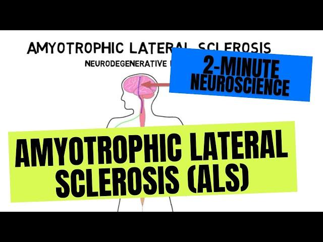 2-Minute Neuroscience: Amyotrophic Lateral Sclerosis (ALS)