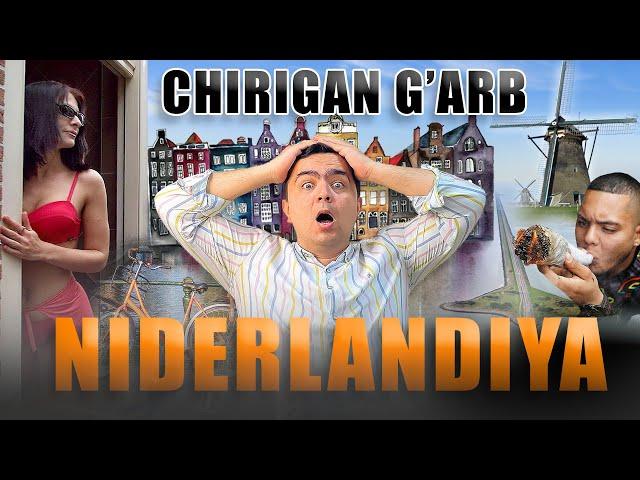 CHIRIGAN G'ARB #1 - NIDERLANDIYA. BOTQOQLIKLARDAGI TARAQQIYOT - NOZIM SAFARI