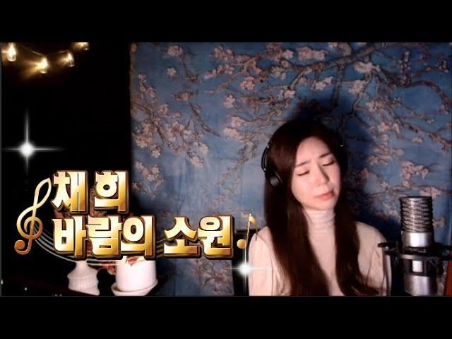 바람의 소원 -  cover by 가수 진설아  jin seol a  #여자임영웅#장구신박서진응원#미스터트롯2박서진