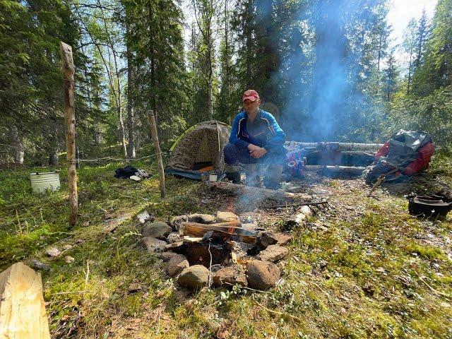 ОДИНОЧНЫЙ ПОХОД В ТАЙГУ К ДИКИМ ОЗЁРАМ. РЫБЫ СТОЛЬКО ЧТО ПРИХОДИТСЯ ОТПУСКАТЬ, в ручейке по колено.