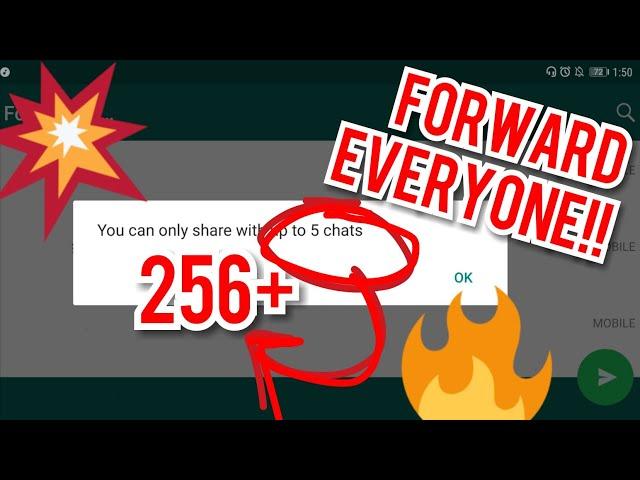 How To Forward WhatsApp Messages To All Contacts | Broadcast List | 2019 Trick | EXECUTABLES