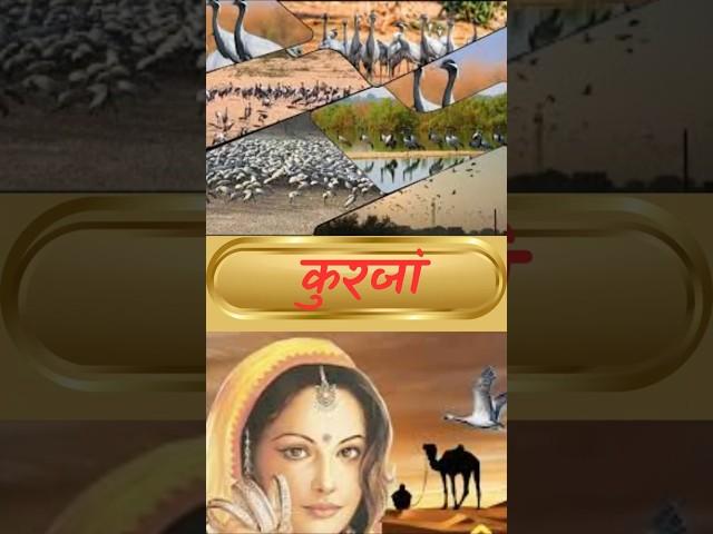 कुरजां,महिला और लोकजीवन  Rajveer Sir | Chalkoi Foundation |