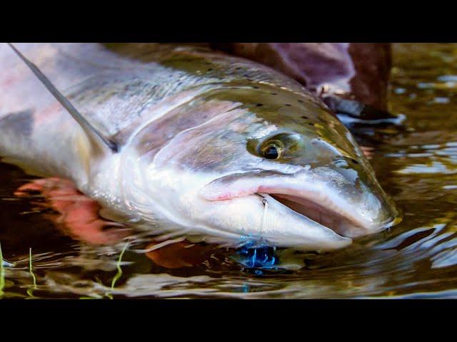 "Swinging for steelhead" - Fly Fishing for coastal Steelhead by Todd Moen